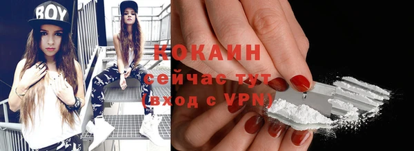 mdpv Бородино