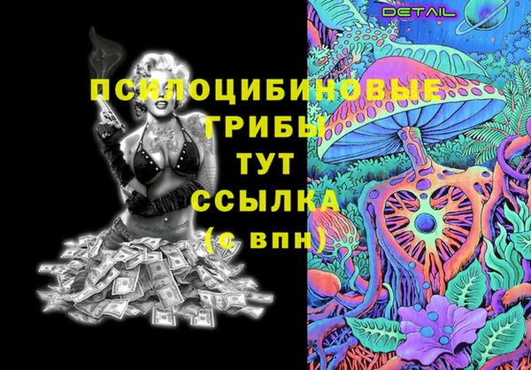 спиды Богородск