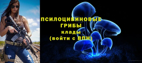 спиды Богородск