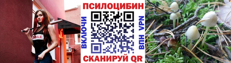 Псилоцибиновые грибы Magic Shrooms Гатчина